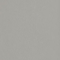 F765 Gris argent brossé