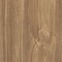 H1113 Chêne du Kansas marron