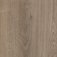 H1399 Chêne Denver chamois