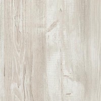 H1401 Pin Cascina