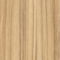 H3012 Coco bolo