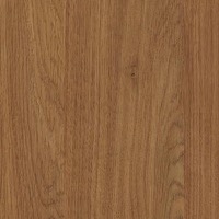 H3398 Chêne Kendal cognac