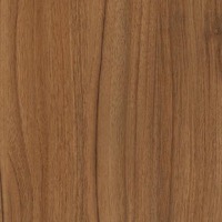 H3734 Noyer de Bourgogne naturel