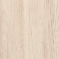 H3860 Erable américain champagne