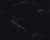 M630 Aurora Nero