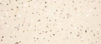 Q001 Terrazzo Classico